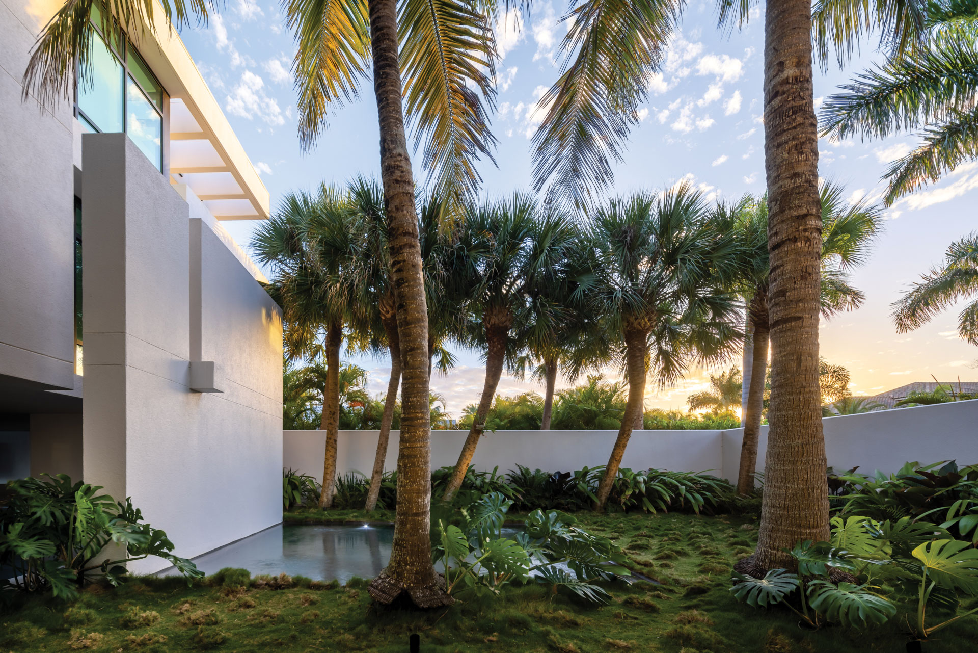 David Young sarasota house entrance pool sunset