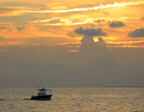 A fish boat in the distance